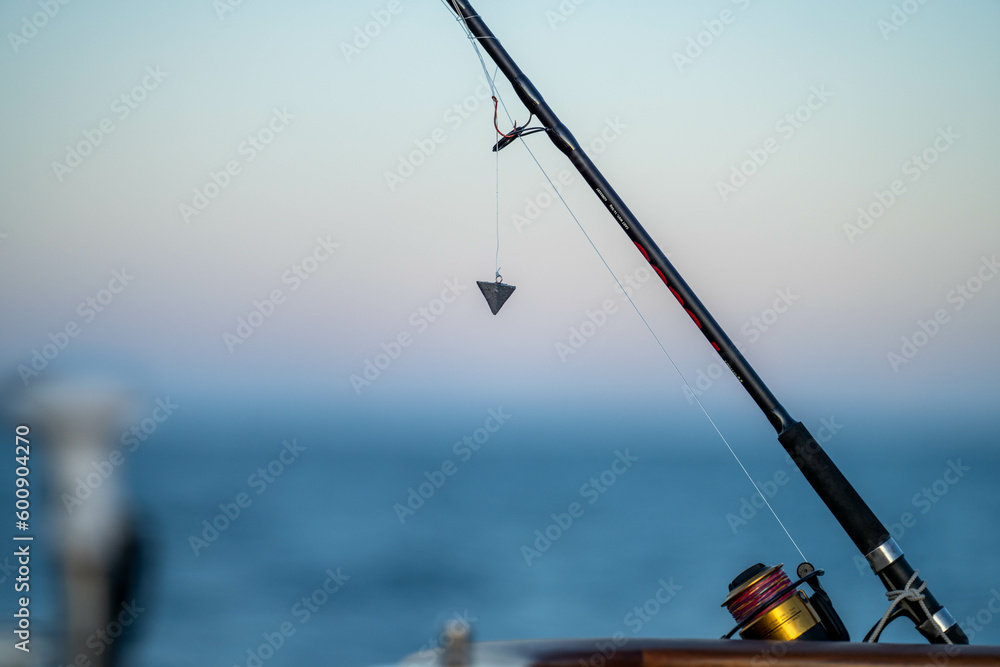 fishing rod on a beach in summer in australia 