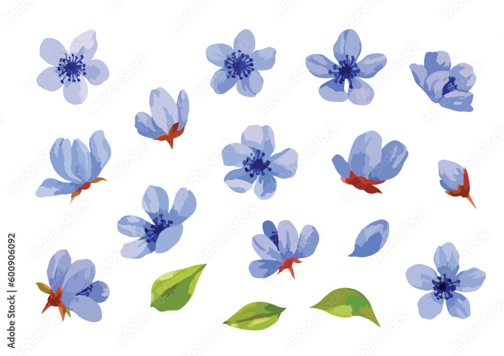 Watercolor blue flowers set of elements, floral clipart design, cute pastel plants. 