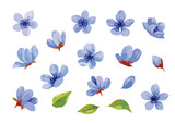 Watercolor blue flowers set of elements, floral clipart design, cute pastel plants. 