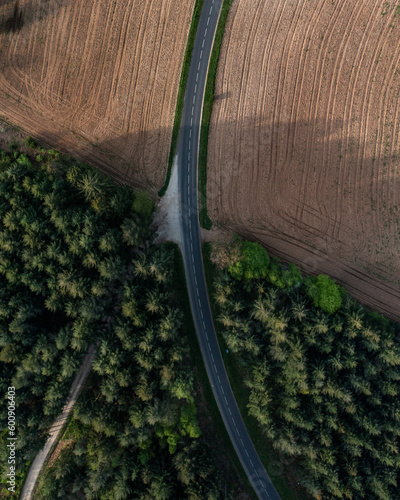 Aerial view of a nordic forest near farmlands with pine tree with a road passing through photo