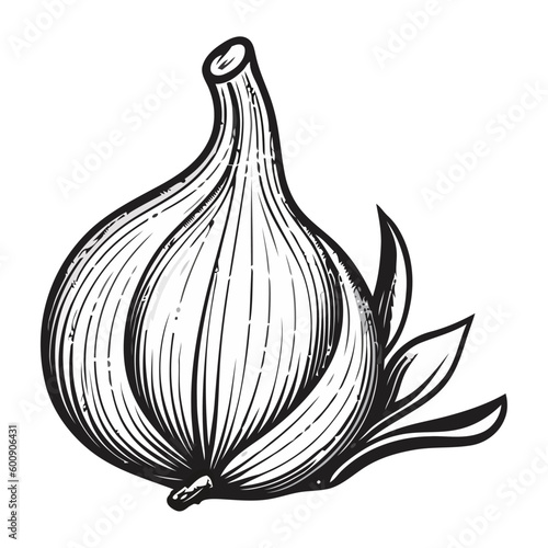 Fresh garlic clove, herb and vegetable seasoning