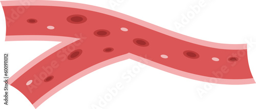 Reduced Blood Flow