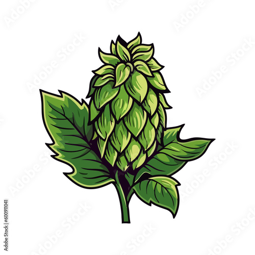 nature organic plant hop cone