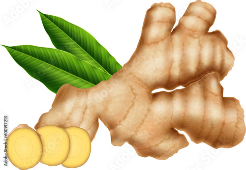 Fresh ginger root with green leaves and ginger slices isolated on white background. Photo- realistic vector illustration.