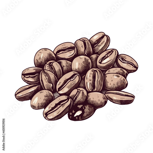 Organic coffee bean on
