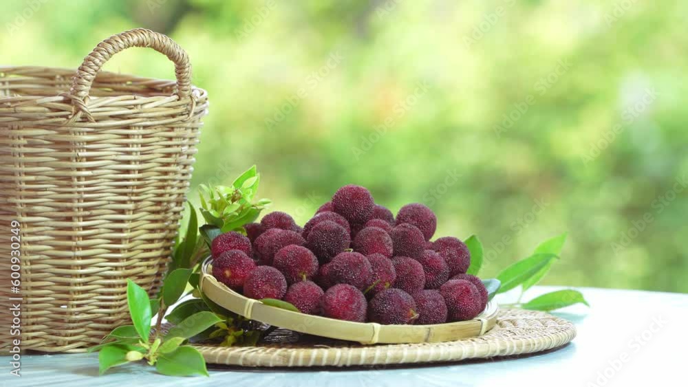 Arbutus berries Fruit or Red Yangmei in the basket under sunlight on blurred nature background.Red Bayberry, Yumberry, yamamomo, Waxberry in basket. Arbutus berries Fruit or Red Yangmei in the basket under sunlight on blurred nature background.Red Bayberry, Yumberry, yamamomo, Waxberry in basket.