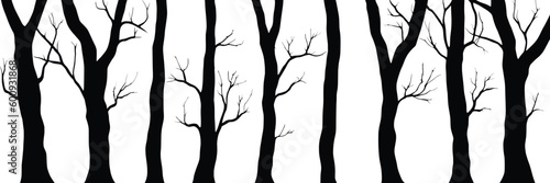 Silhouettes of trees, tree trunks and branches isolated on white background, natural background, banner