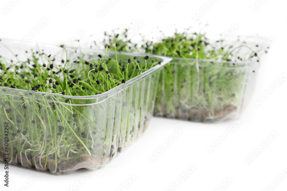 Plastic containers with fresh micro green on white background Plastic containers with fresh micro green on white background