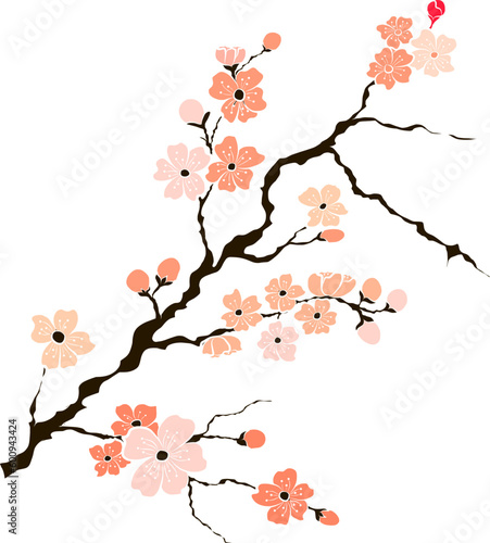 Branch of Cherry blossom on white.Vector illustration Sakura Flower,Nice Peach blossom isolated vector.Japanese floral.