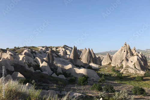 Cave houses in Uchisar village Cappadocia on blue sky background © megaflopp