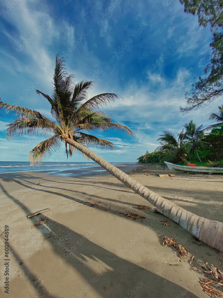 Obraz premium playas en veracruz