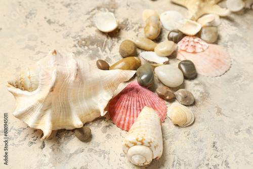 Seashells with stones and starfishes on grunge background
