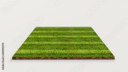3D rendering of green grass field isolated on white background with clipping path. Sports field. Exercise and recreation place. 4