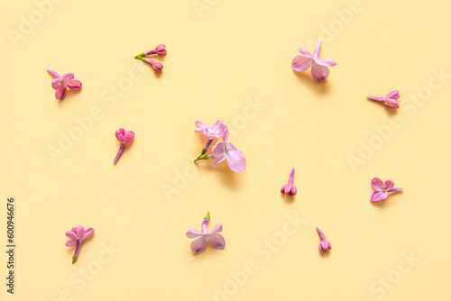 Blooming lilac flowers on beige background © Pixel-Shot