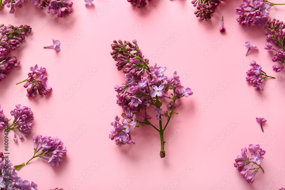 Blooming lilac flowers on pink background Blooming lilac flowers on pink background
