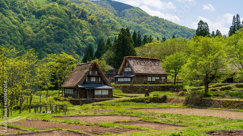 World heritage site Gokayama Ainokura Village at Toyama, Japan. photo