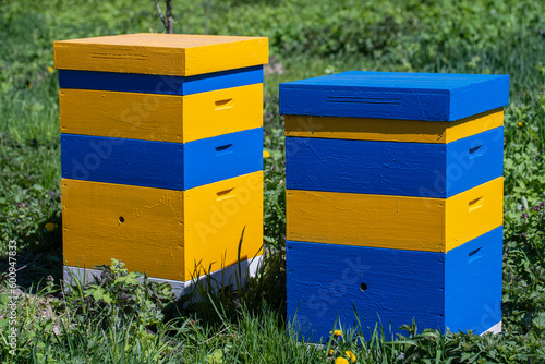 Two new set of yellow-blue wooden beehive in the spring garden, closeup © OlegD