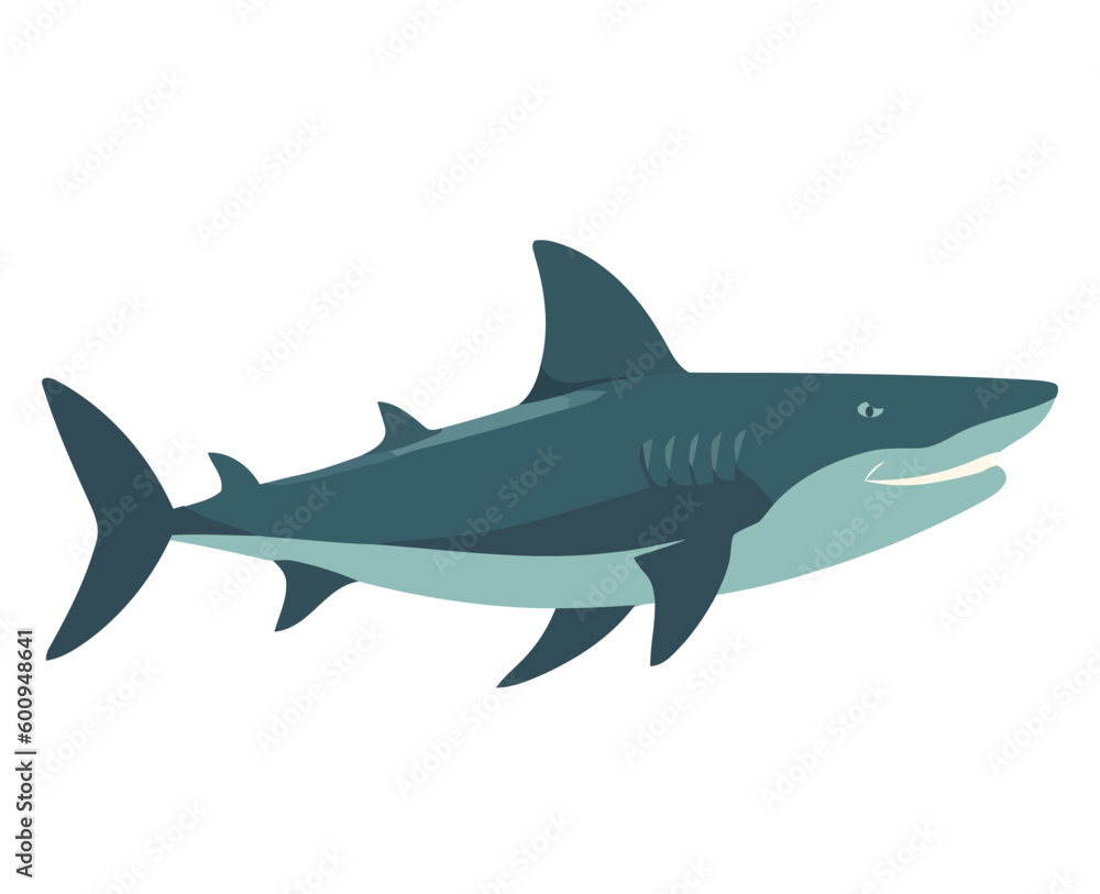 Swimming shark illustration Swimming shark illustration