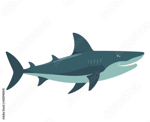 Swimming shark illustration