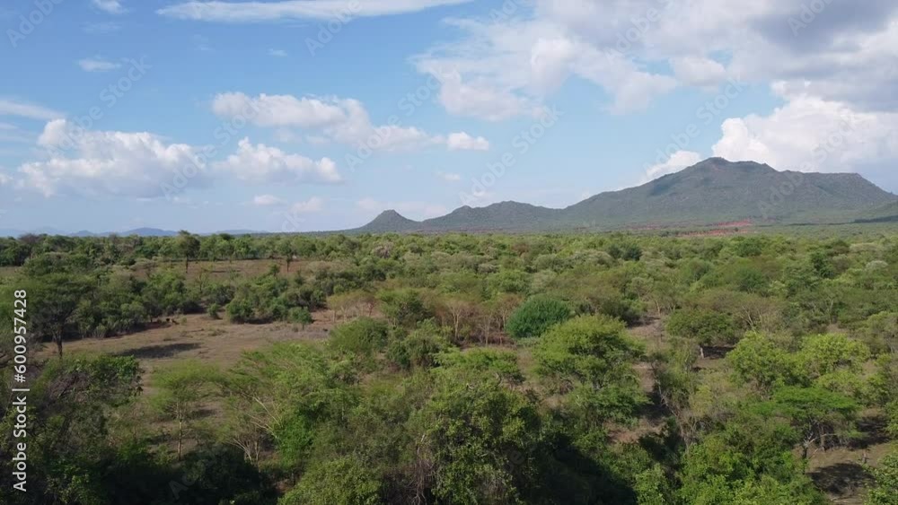 Drone panning over the Ethiopian Savanna in Omo Valley in rural area with mountain range in the background 2 Drone panning over the Ethiopian Savanna in Omo Valley in rural area with mountain range in the background 2