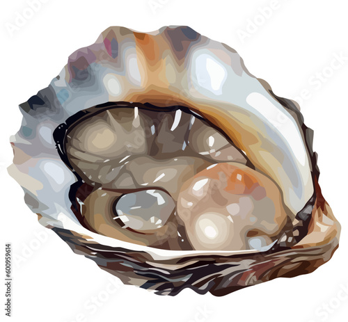 Fresh oyster design