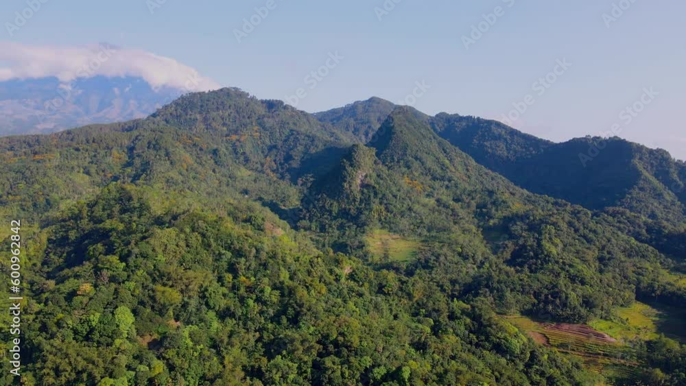 Drone backwards of exotic forest landscape on hill during sunshine Drone backwards of exotic forest landscape on hill during sunshine