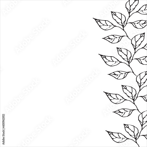 Seamless vector vertical border with leaves. Set of ink hand drawing wild herbs  monochrome artistic botanical illustration for backgrounds. Temlate for wedding cards and polygraphy.