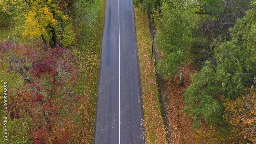 Fallen autumn leaves near asphalt road, aerial descend view Fallen autumn leaves near asphalt road, aerial descend view
