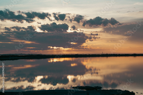 Camargue