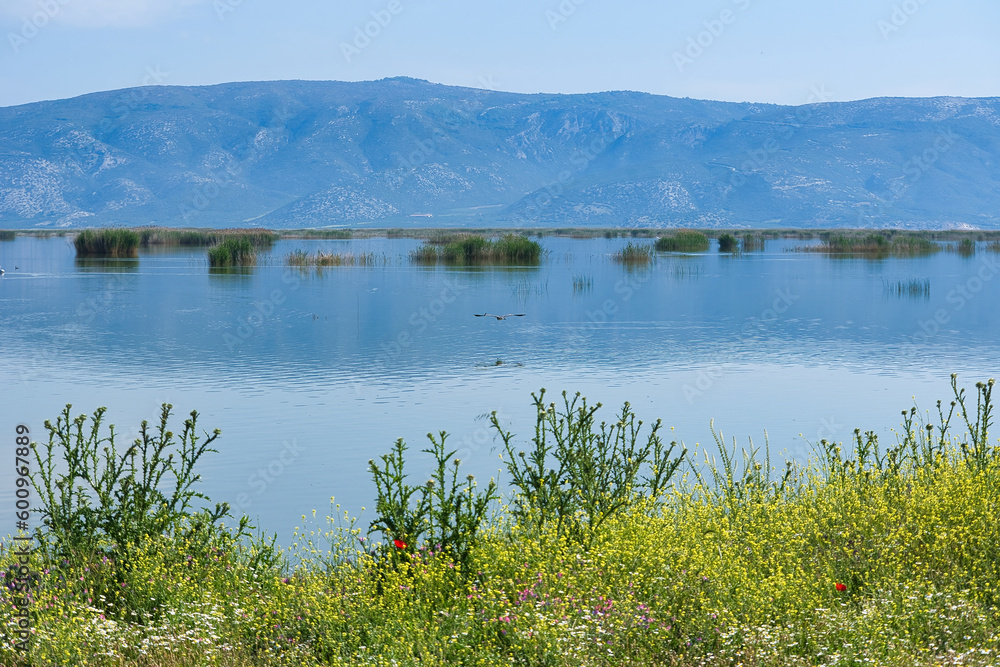 Lake Karla, calm and beautiful lake, Greece, a unique wetland, with water changes, small islands and aquatic plants and birds.