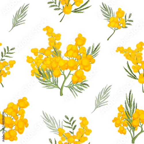 Branches of mimosa - texture  seamless pattern on a white background.