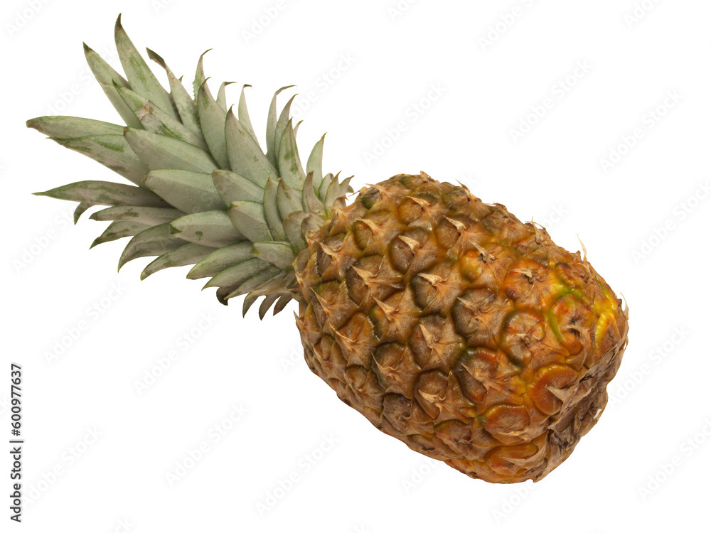 Pineapple fruit isolated on white background Pineapple fruit isolated on white background