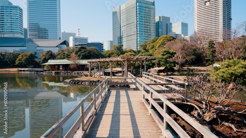 Hamarikyu Gardens is a natural park area in Shiodome District in Tokyo, Japan