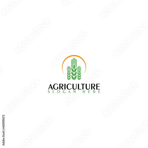 Agriculture icon logotype template. Wheat farm logo design isolated on white background