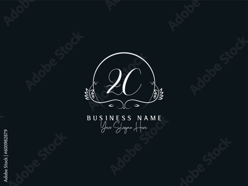Modern Luxury ZC Signature Logo, Feminine Signature Letter Zc cz Logo Icon Vector Art