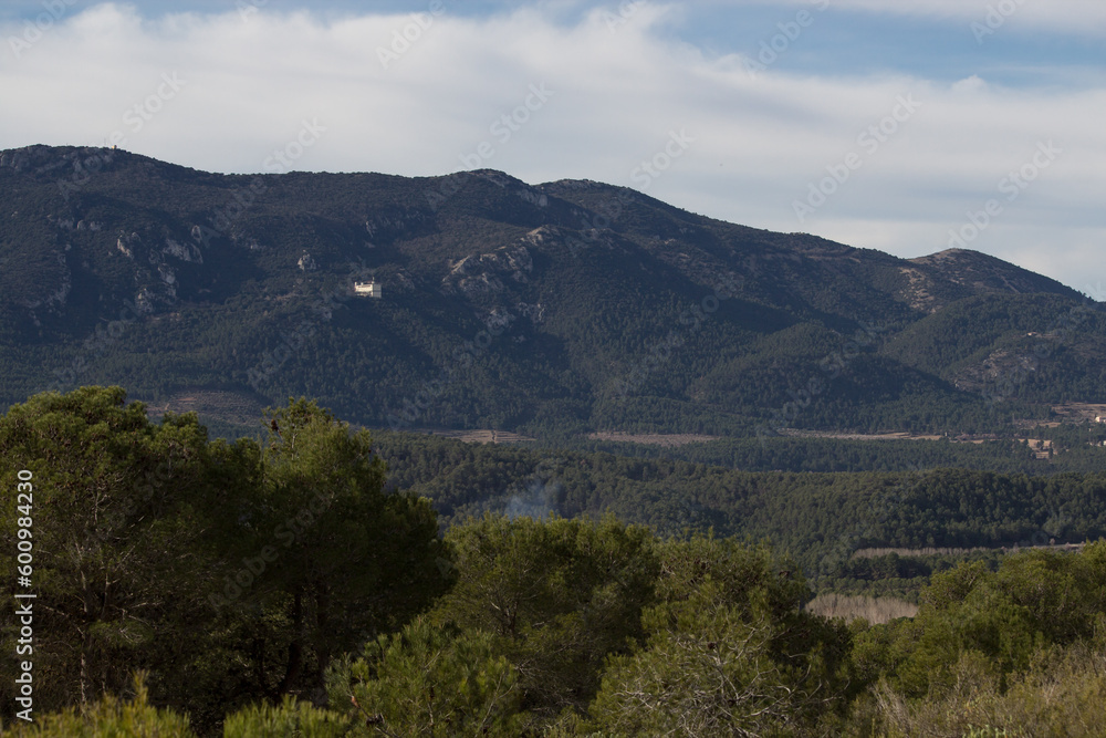 Paisaje del parque natural de la Fuente Roja  con pinos en primer plano, Alcoy, España