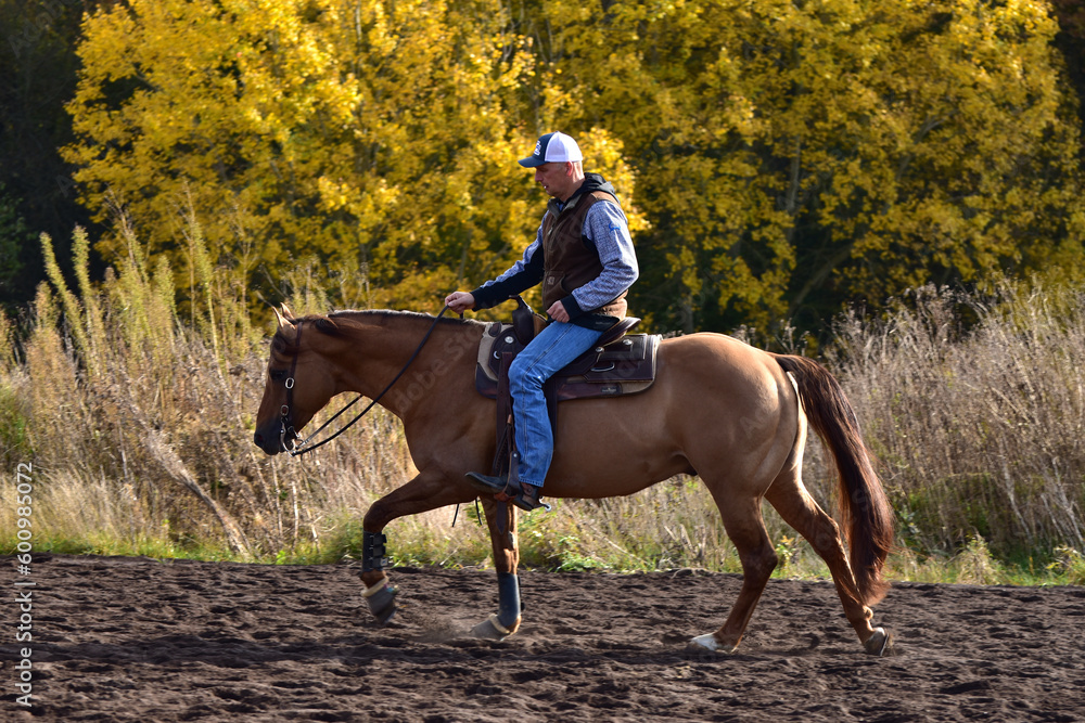 Westernreiten