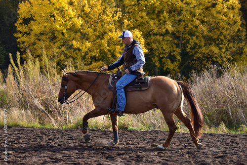 Westernreiten