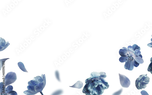 Blue flying flowers and petals overlay. Floral border, isolated