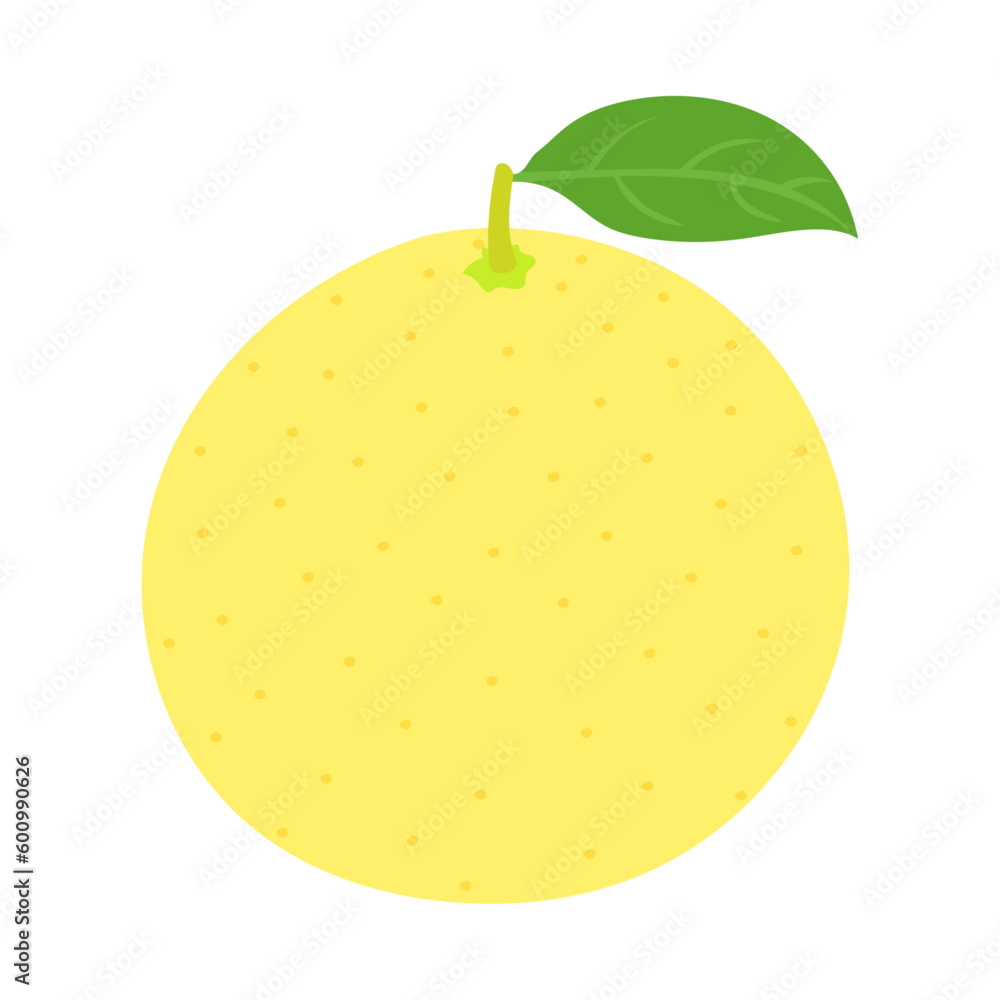 Φωτογραφία 晩白柚。フラットなベクターイラスト。
Cultivar of pomelo (Citrus maxima, Citrus grandis)
