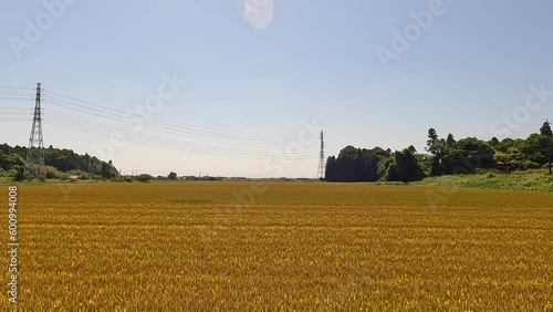 田園風景