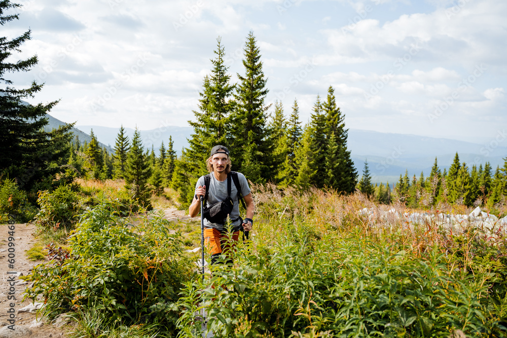 Fototapeta premium Solo journey through the taiga, trekking in the mountains, man tourist, tall grass, mountain trail, guy hiker, wild forest, trekking, walking sticks.