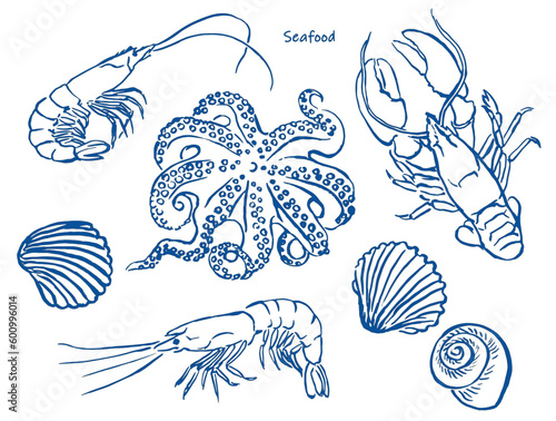 Seafood, sketch , shrimps ,lobster , line art ,  scallops, seafood illustration , crustacean , octopus, shrimp, watercolor illustration , food illustrations