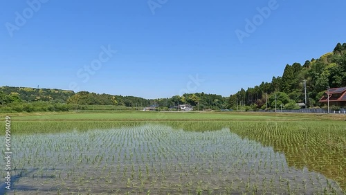 田園風景