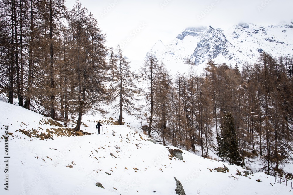 Snowshoeing in the woods during winter time, Italy