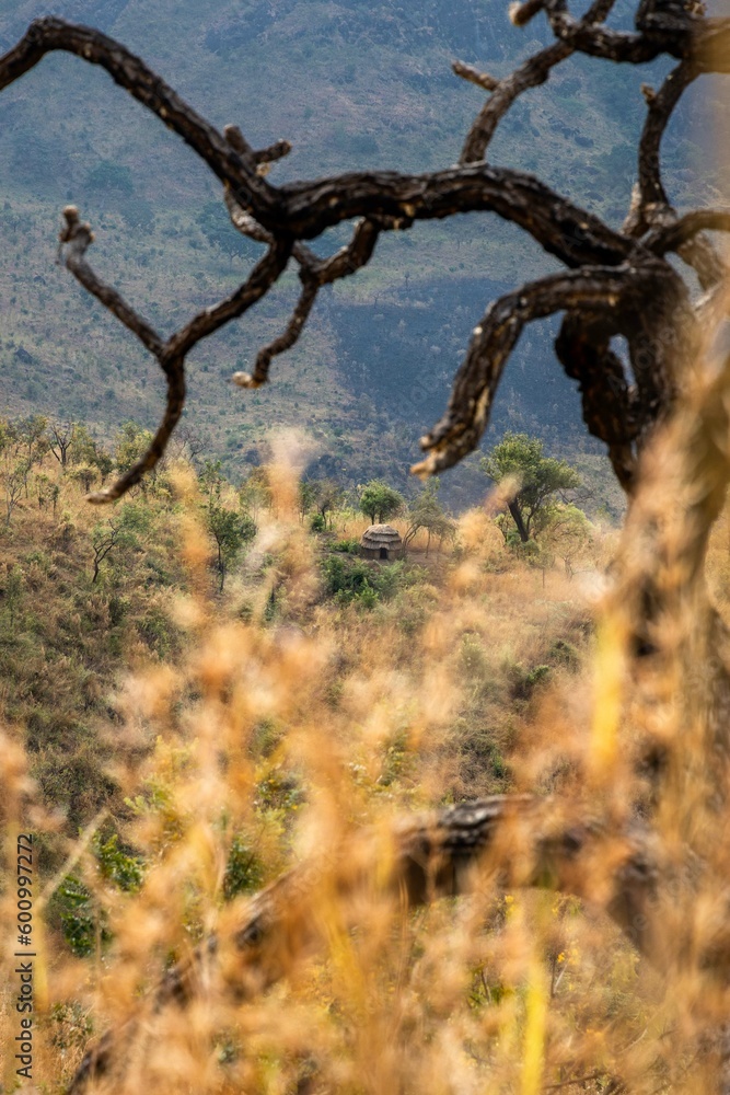 African hut on the mountain with grass and tree as a frame, Uganda, Karamoja African hut on the mountain with grass and tree as a frame, Uganda, Karamoja