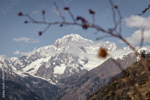 Mount Blanc, covered by snow and clouds, with flowers, Aosta Valley, Italy photo