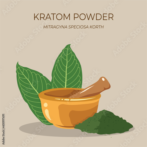 Kratom leaf (Mitragyna speciosa) with medicine herbal powder and mortar. Kratom is Thai herbal which encourage health. 