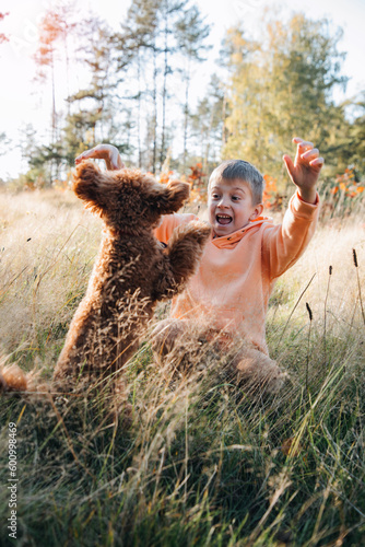 A boy with a small brown dog plays in a meadow with tall grass. Leisure with a pet in nature. Front view photo