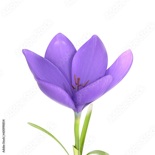 3D Rendering Purple Flower Isolated On White Background